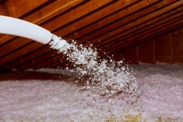 Best Insulation Installation Services in Whitesboro, TX